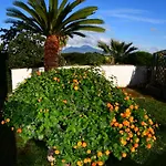 Casa Giulia Azzurra Sirena * Napels